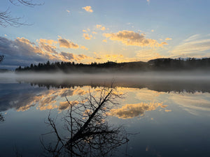 Advice from a Lake